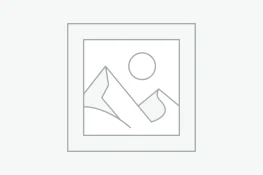 عنصر نائب Placeholder